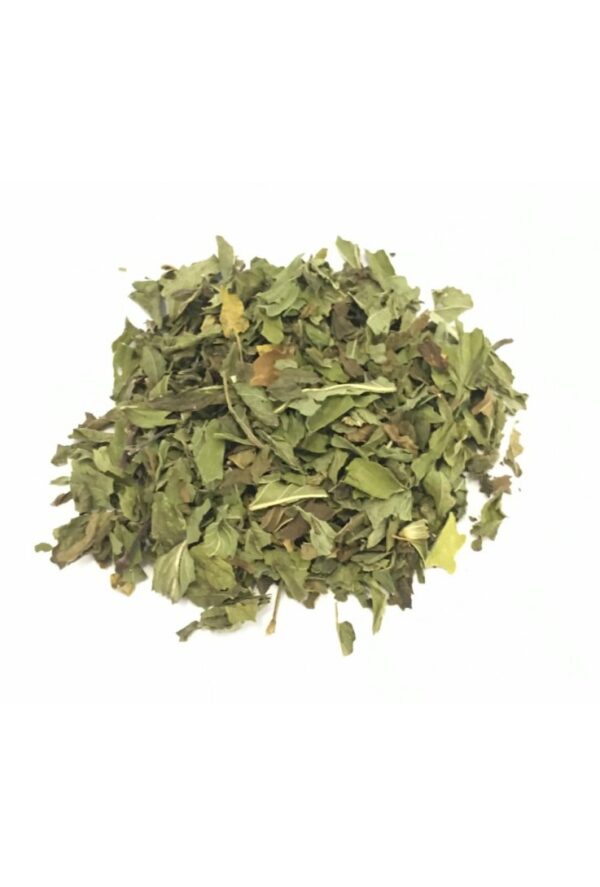 MENTA PIPERITA EXTRA FOGLIE-GR 10