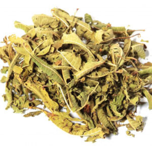 VERBENA OFFICINALE -GR 10
