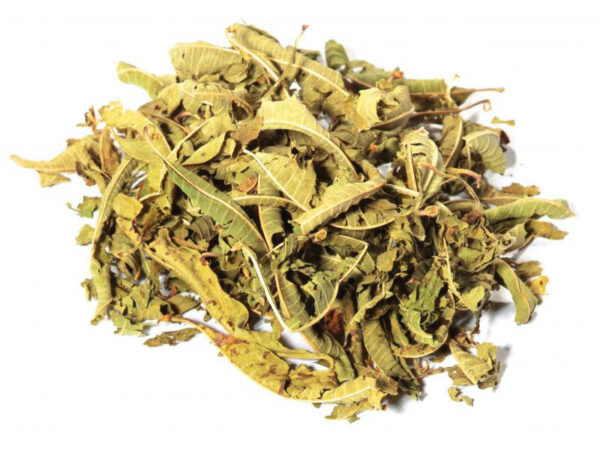 VERBENA OFFICINALE -GR 10