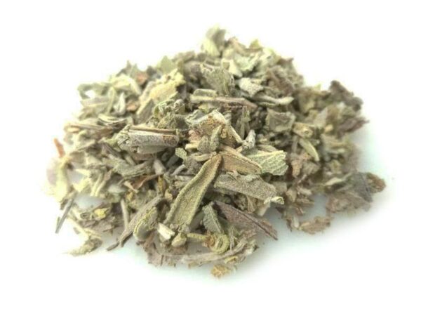 SALVIA EXTRA FOGLIE-GR 10