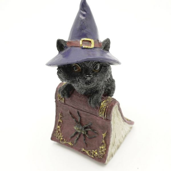 GATTO SU LIBRO CON RAGNO