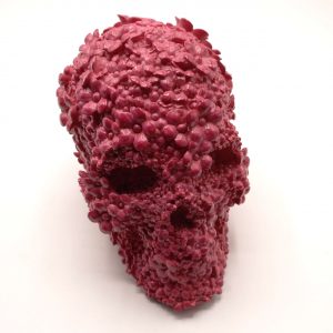 PINK AFTERLIFE - TESCHIO ROSA