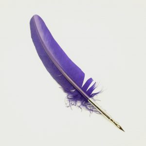 PIUMA CON PENNINO - VIOLA
