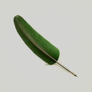 PIUMA CON PENNINO - VERDE
