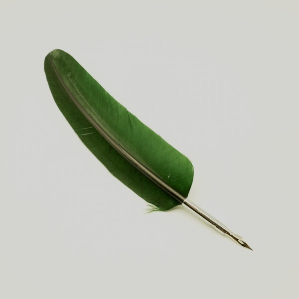 PIUMA CON PENNINO - VERDE