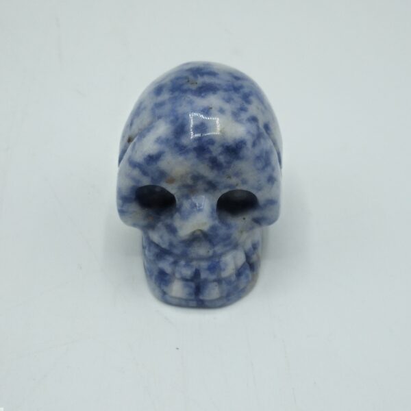 TESCHIO DI PIETRA-SODALITE