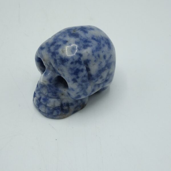 TESCHIO DI PIETRA-SODALITE - immagine 2