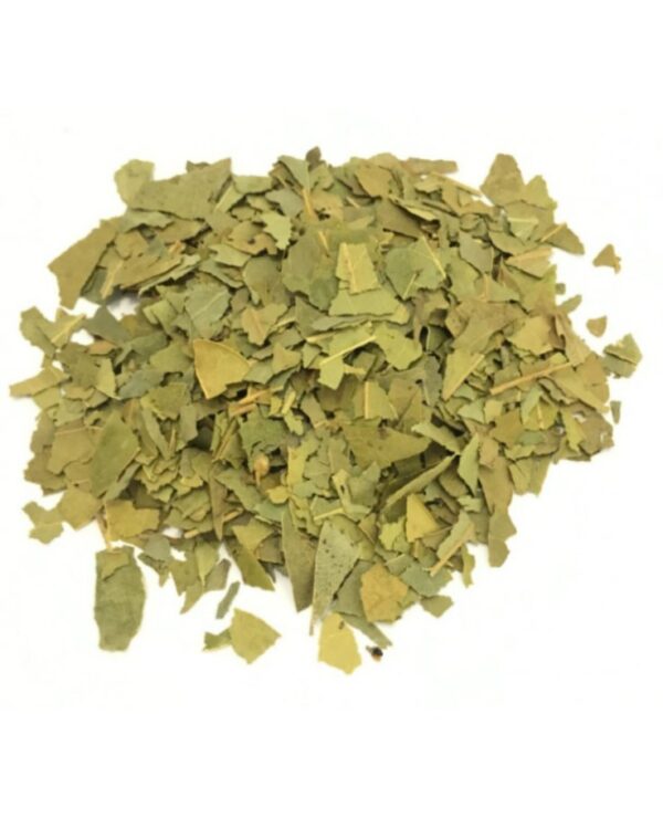 LAURO NOBILE EXTRA FIORI (ALLORO)-GR 10