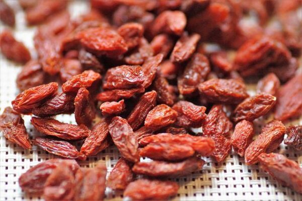GOJI BACCHE INTERE-GR 10