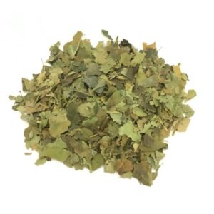 EDERA RAMPICANTE FOGLIE- GR 10
