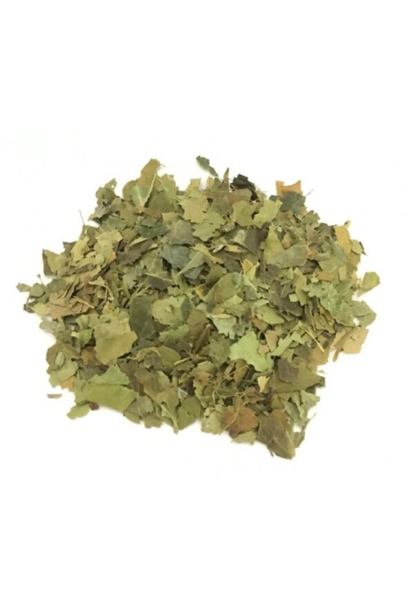 EDERA RAMPICANTE FOGLIE- GR 10