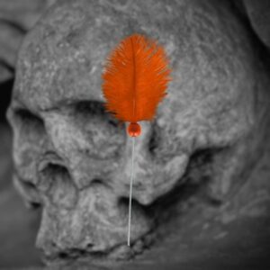 AGO VOODOO CON PIUMA-ARANCIO