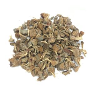 CIPRESSO BACCHE-GR 10