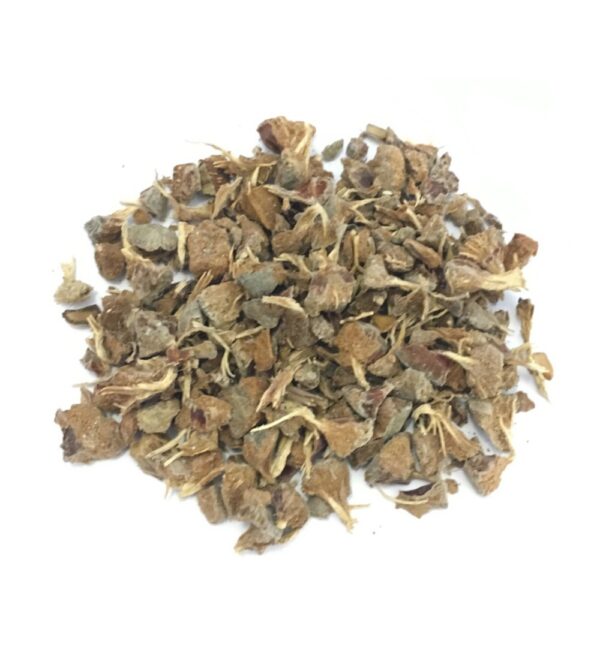 CIPRESSO BACCHE-GR 10
