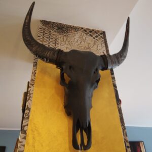 TESCHIO BUFALO NERO