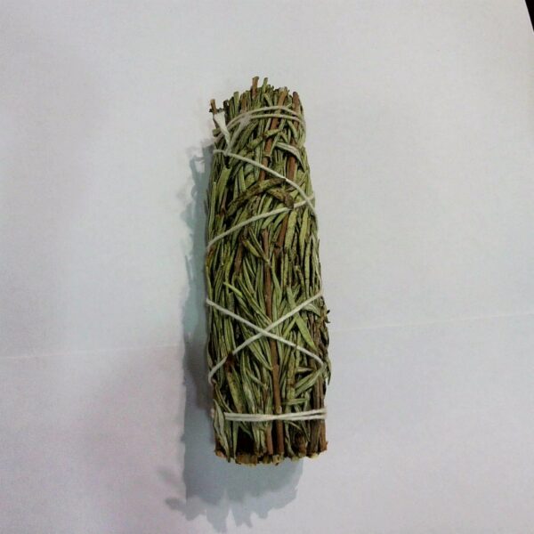 SALVIA MONTAGNA-CM 10 SMUDGE STICK