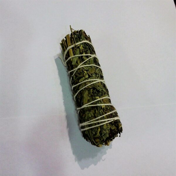 SALVIA E RUTA-CM 10 SMUDGE STICK