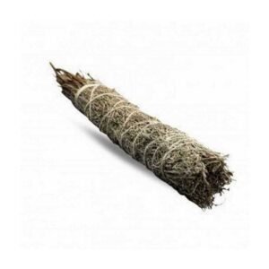 SALVIA BLU CM 22 - SMUDGE STICK