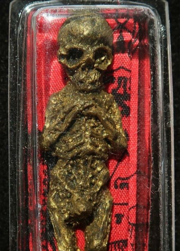 AMULETO THAILANDESE-LUK KROK - immagine 5