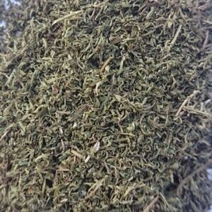 ARTEMISIA