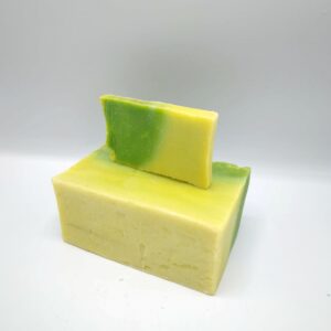 SAPONE NATURALE ALOE VERA ALL'OLIO D'OLIVA