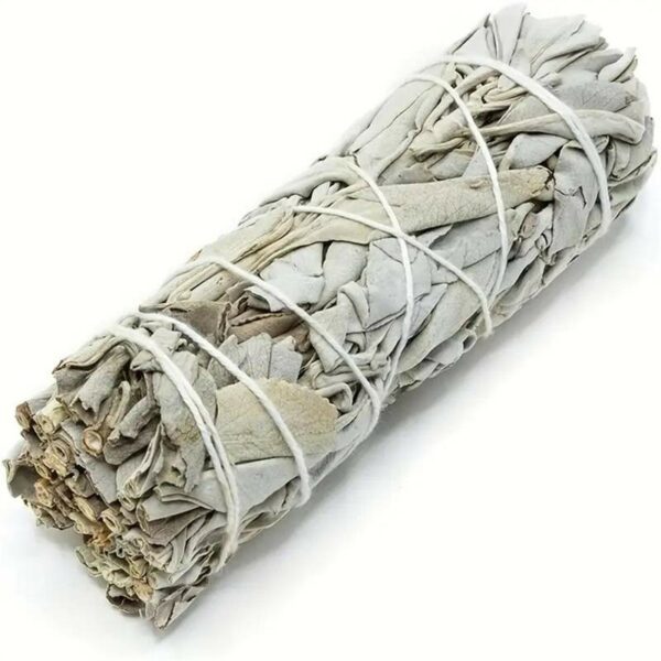 SALVIA BIANCA - 12 CM - SMUDGE STICK