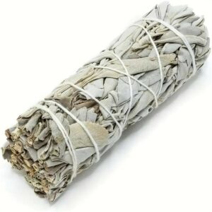 SALVIA BIANCA - 15 CM - SMUDGE STICK